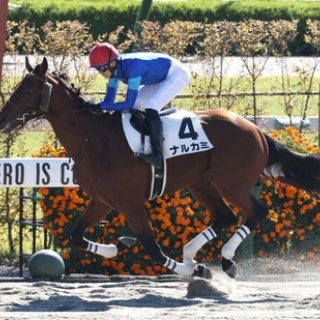 ☆うまなみ・競馬にゅーす速報