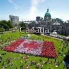 『カナダトロントインコール求人情報』の画像