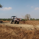 『学生のボランティア活動』の画像