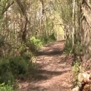 春の日の花と輝く―2026年