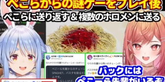 【ホロライブ】ぺこらから貰った謎ゲーの難解なルールを理解して攻略するりりーか、チェーンメールとして他のホロメンにも送る