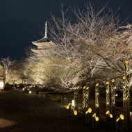 【京都】1ヶ月だけの幻想的な世界　～東寺月回廊