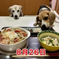 既に書いてた話とチビラばいばい。
