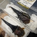 ビーマニ 感想&購入品紹介