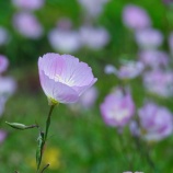 『老害老人になりたくない』の画像