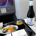 普段と異なっていたANAの機内 欧州から日本へ