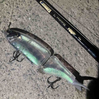 ブルーカレントⅢ 82購入。 : シーバス&ライトゲームな日々