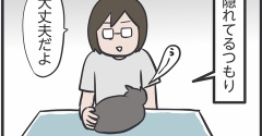 ちょっと控えめなシャー