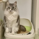 ストルバイトevaちゃん vol.87