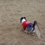 てぃいだの大冒険