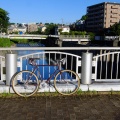TOEIパスハンターで早朝サイクリングへ♪