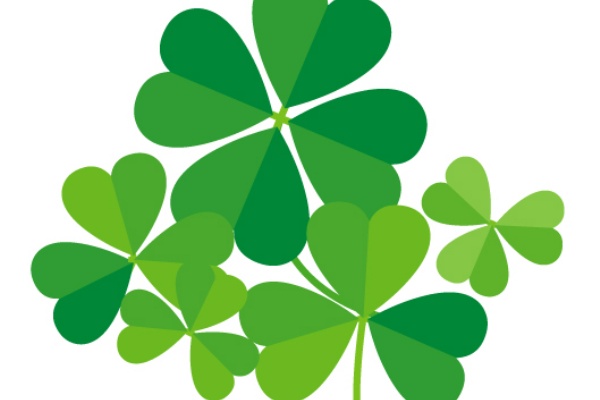 本物の探偵 石川県 富山県を拠点に全国対応 浮気