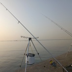 ナベさんの投げ釣り