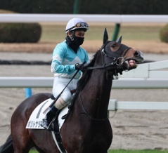 The 28th Nakayama Grand Jump（J･GⅠ）