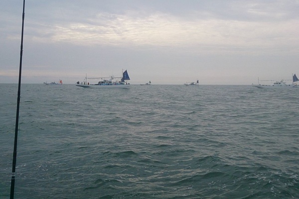 オフショア 適当釣りブログ 鹿島港 第三幸栄丸