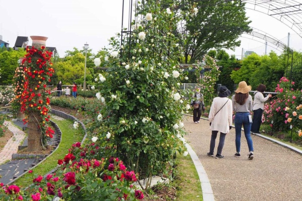 高槻network新聞 お出かけ