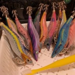 ベイト使いな日々