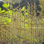 気ままなカメラアイ。