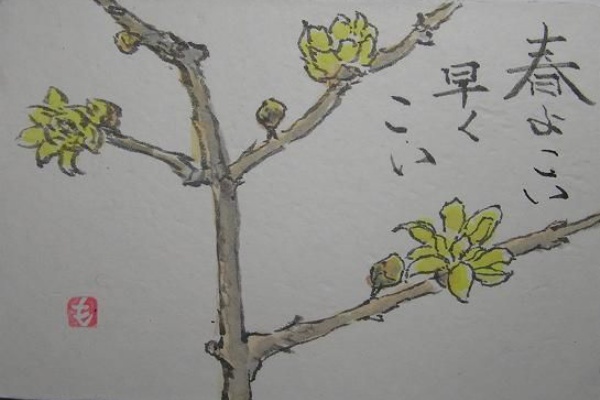 絵手紙シリーズ ロウバイ 蝋梅 四季の花図鑑