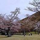 伊東温泉旅行♪お土産は「ねりものや　武」と東京ラスク～