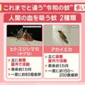 2026年大量発生!？ "令和の蚊" は『多い』『長い』温暖化影響で生態に異変も