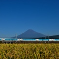 SparkLing  Dreams  Shinkansen：10/11①