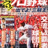 『がっつり!プロ野球 11』の画像