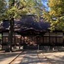 文学逍遥派かな？