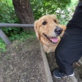 シェリーさん。