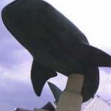 إ󥿡ͥåȽŹƻǽ˸ơ٤β