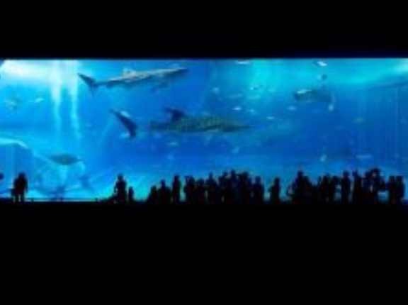 【マーケティング】『常識はずれの増客術』中村元