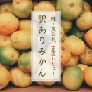 【レビュー】訳あり有田みかん5kgが届いた！味・見た目を正直レポ