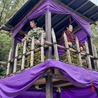 岐阜公園「菊人形・菊花展」