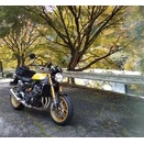 2025年　１１月２日、豊田市は、やっとこさ、秋に、、。