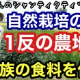 【ちょこっと自給農】“長野県安曇野・シャンクィティツアー”〈臼井健二〉夢見る農学校』自然栽培で1反の田畑で1家族の食料を作るモデル区画の話