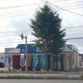 函館市加治2丁目 ゆで太郎 函館鍛治店(もつ次郎併設店) その6 朝ら～(冷そば)450円 太刀魚のちくわ天120円