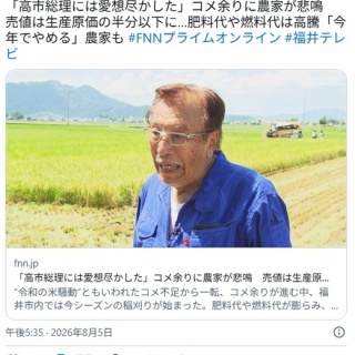 痛いニュース(ﾉ∀`)