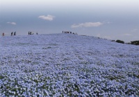 ガードレールに危険な金属片 全国４２道府県で発見 ほっとメール ひたち