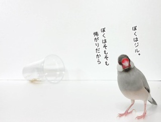 初めてのものに立ち向かう勇気