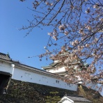 オリーブ日和～villa AiDA日記