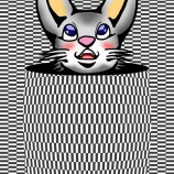 『３種類の壁紙』の画像