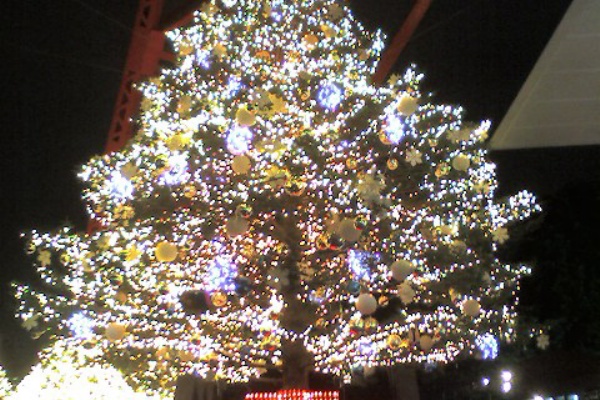 インターネットでできること ヽ O 丿