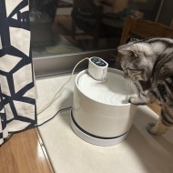 船便がやってきた！