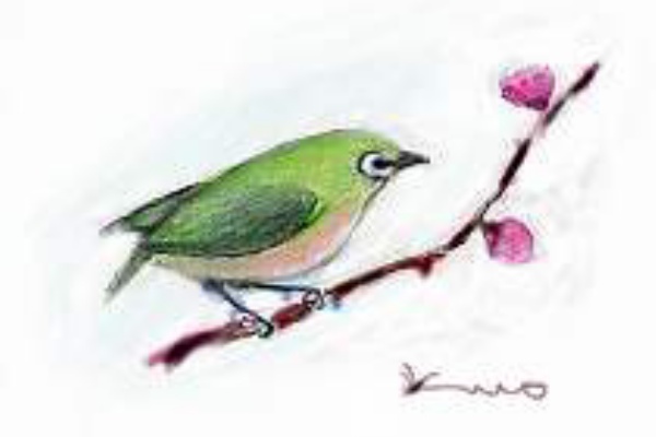 水彩画川辺の一羽の鳥