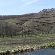 2025.05 ��� ζ��ƶ1 �����Ȥα���