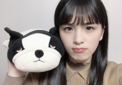 【乃木坂46】あざとい？ どっちの”ぬいぐるみ”がすこ？？？