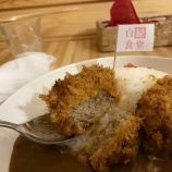 『思い立ったが大山詣り3　大山豆腐を堪能し、鶴巻温泉でジビエに挑む』の画像
