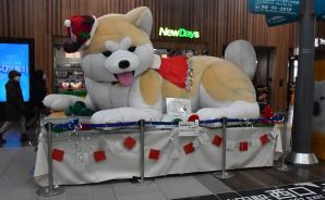クリスマスVer.の秋田犬バルーン
