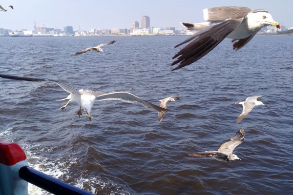 手作り玩具と子育て色々 娘とおでかけ