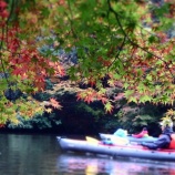 ���ɲ��罸���ޤ� �������й��ե��̡��ĥ������٤β���